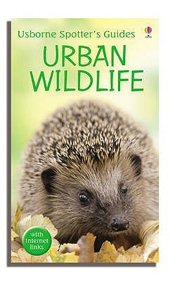 urban-wildlife