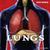 Lungs by Shannon Caster