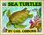 Sea Turtles by Gail Gibbons