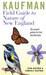 Kaufman Field Guide to Nature of New England by Kenn Kaufman