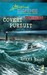 Covert Pursuit by Terri Reed