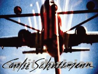 carolee-schneemann-split-decision