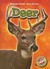 Deer (Blastoff! Readers Backyard Wildlife) by Derek Zobel