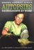 Autopsies Pathologists at Work by Gary Jeffrey