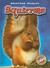 Squirrels by Derek Zobel