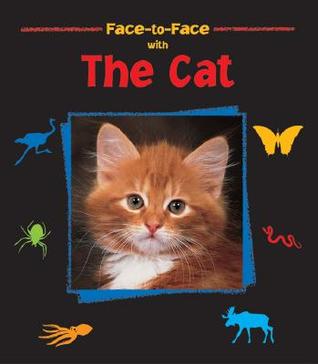 face-to-face-with-the-cat-face-to-face