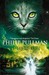 The Subtle Knife (His Dark Materials, #2) by Philip Pullman