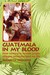 Guatemala In My Blood How Nursing In Remote Jungle Villages Revolutionized My Life by Elizabeth Desimone