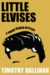 Little Elvises (Junior Bender, #2) by Timothy Hallinan