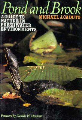 pond-and-brook