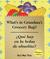 What's in Grandma's Grocery Bag?/Que hay en la bolsa de abuelita? by Hui-Mei Pan