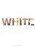Whiteness essays on race and culture 08 image