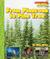 From Pinecone to Pine Tree by Ellen Weiss