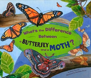 whats the difference between a butterfly and a moth by robin koontz butterfly and moth venn diagram