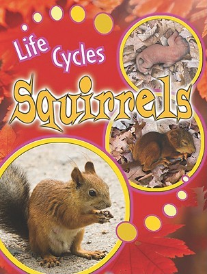 squirrels