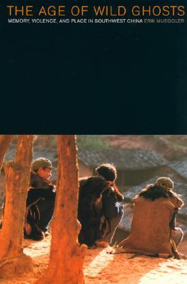 The Age of Wild Ghosts: Memory, Violence, and Place in Southwest China Descargar libros de google books gratis
