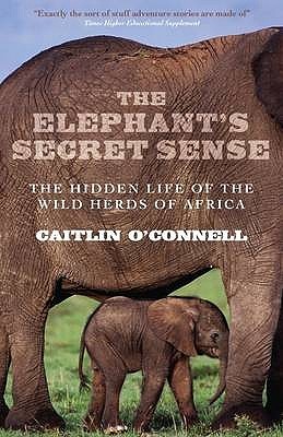 Ebook The Elephant's Secret Sense: The Hidden Life of the Wild Herds of Africa. Caitlin O'Connell by Caitlin O'Connell read! Ebook The Elephant's Secret Sense: The Hidden Life of the Wild Herds of Africa. Caitlin O'Connell by Caitlin O'Connell read!