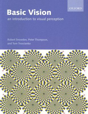 Visual Perception: An Introduction