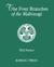 The Four Branches of the Mabinogi Celtic Myth and Medieval Reality by Will Parker