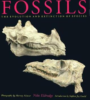 fossils-the-evolution-and-extinction-of-species