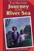 Journey to the River Sea by Eva Ibbotson