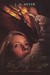 Under the Jolly Roger Being an Account of the Further Nautical Adventures of Jacky Faber (Bloody Jack, #3) by L.A. Meyer