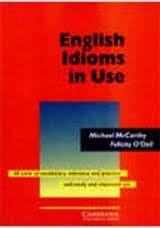 english idioms in use michael