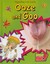 Ooze and Goo by Angela Royston