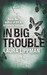 In Big Trouble (Tess Monaghan #4) by Laura Lippman