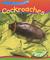 Cockroaches by Nancy Dickmann