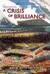 A Crisis of Brilliance Five Young British Artists and the Great War by David Boyd Haycock