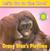 Orang Utan's Playtime by Jessie Cohen
