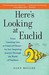 Here's Looking at Euclid From Counting Ants to Games of Chance - An Awe-Inspiring Journey Through the World of Numbers by Alex Bellos