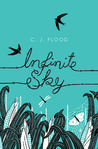 Infinite Sky (Infinite Sky, #1)