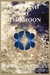 Pointing to the Moon A Biographical Epistolary Novel by Rochelle Holt