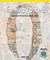 The History of Zero Exploring Our Place-Value Number System by Tika Downey