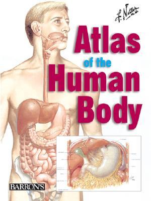 Netters Atlas Of The Human Body By Frank H Netter