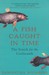 A fish caught in time the search for the coelacanth by Samantha Weinberg