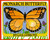 Monarch Butterfly by Gail Gibbons