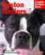 Boston Terriers by Susan Bulanda