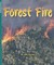 Forest Fire by Julie Haydon