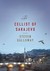 The Cellist of Sarajevo by Steven Galloway