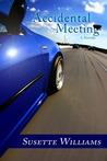 Accidental Meeting cover
