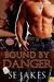 Bound by Danger by S.E. Jakes