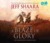 A Blaze of Glory (Civil War 1861-1865, Western Theater, #1) by Jeff Shaara