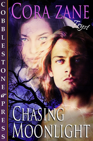 chasing-moonlight