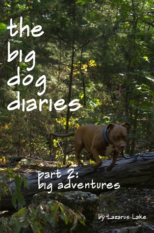 Big Adventures Download PDF Big Adventures Download PDF