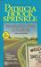 Somebody's Dead in Snellville (Sheila Travis, #4) by Patricia Sprinkle