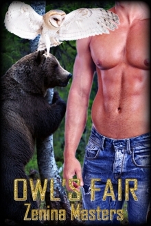 owl-s-fair