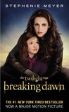Breaking Dawn cover
